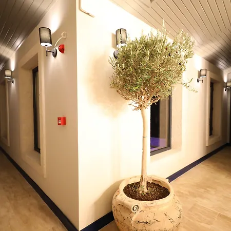 Ariel فندق مبيت وإفطار
