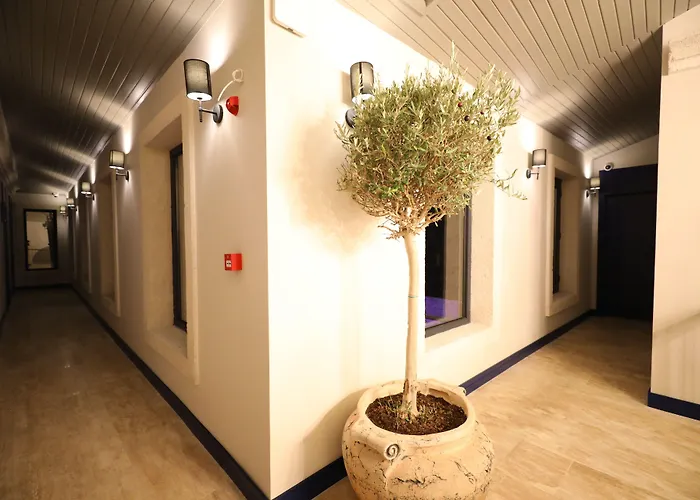 Ariel Bed & Breakfast